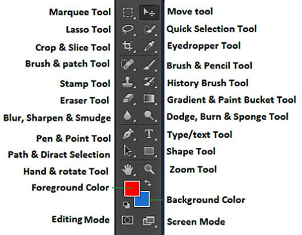 the Brush Tool in Photoshop